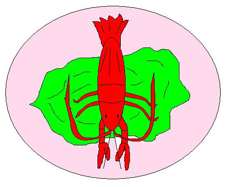 Aragosta con verdura