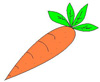 Carota