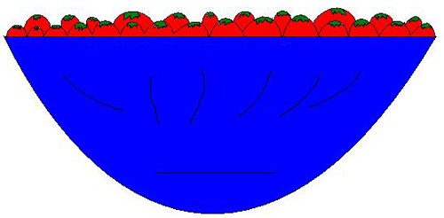 Cestnino di pomodorini