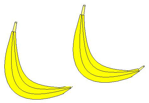 Due Banane