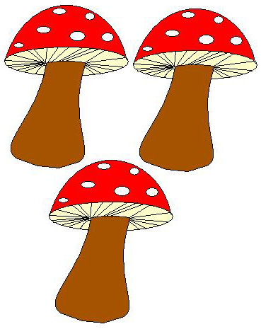 Funghi