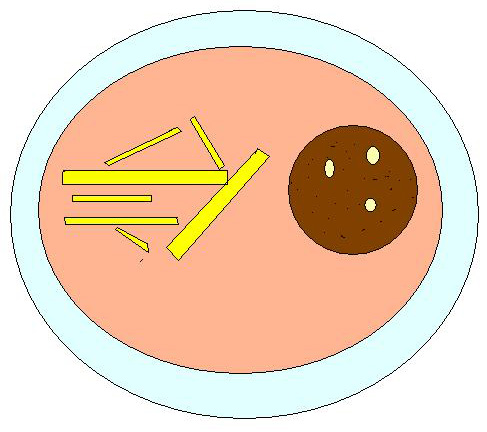 Patatine e Hamburger