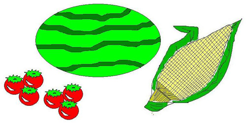 Pomodori Anguria Mais