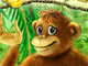 Monkey's Friends