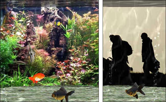 Fantastic 3D Fish Aquarium