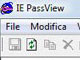 IE PassView