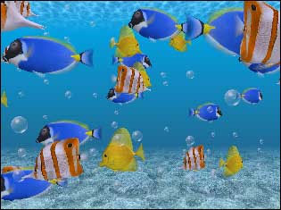 Bildschirmschoner Fische
