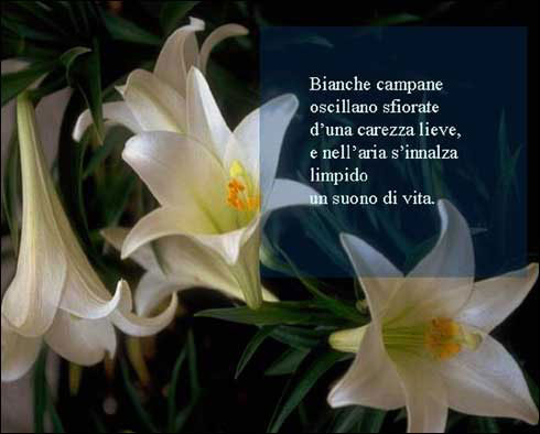 Poesia Visuale Screen Saver