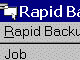 Rapid Backup