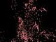 Screensaver Fuochi d'artificio