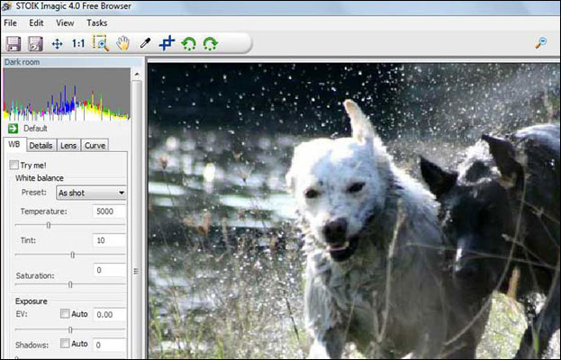 Stoik Imagic Free Browser