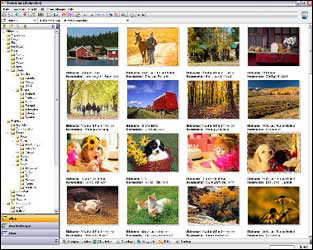 StudioLine Photo Basic